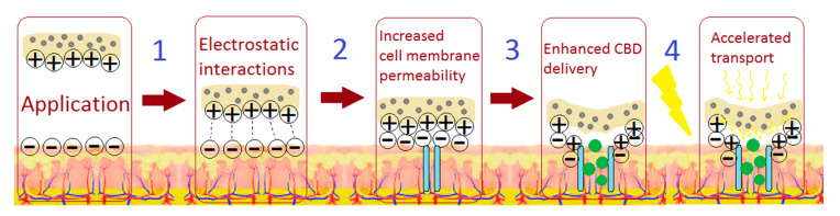 Figure 15