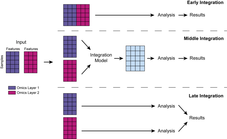 Figure 2