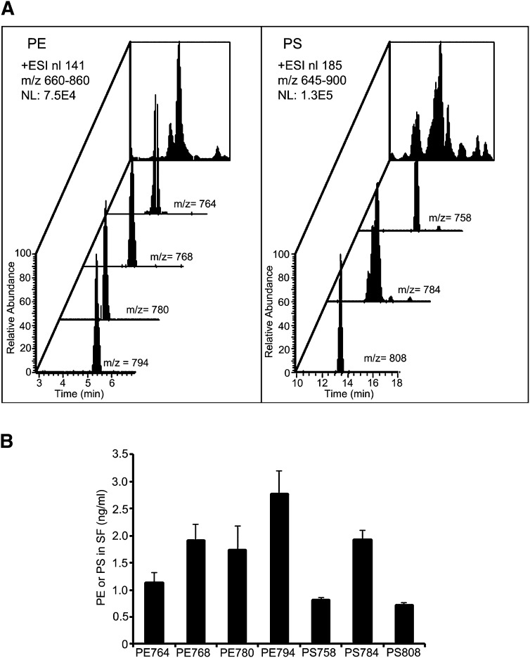 Fig. 6.