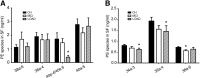 Fig. 10.