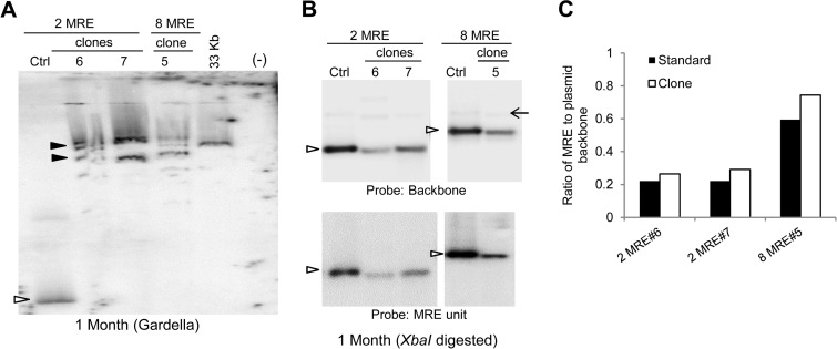 FIG 6