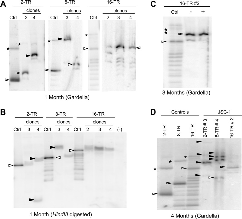 FIG 3