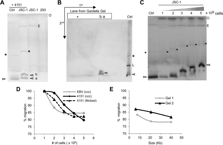 FIG 2