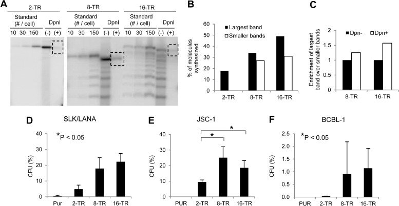 FIG 1