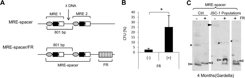 FIG 8