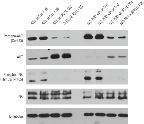 Fig. 10.