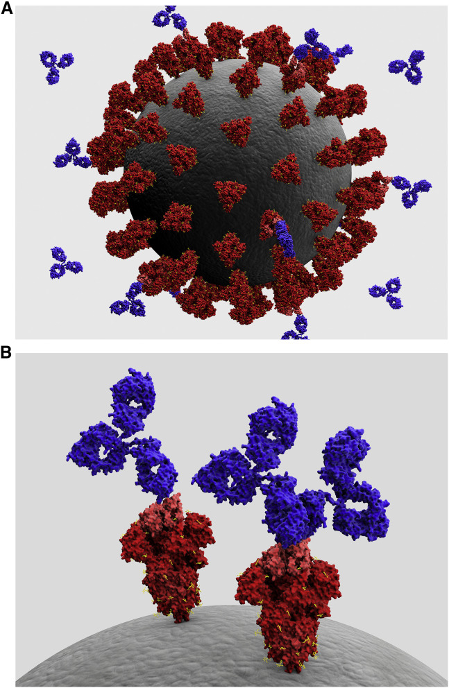 Figure 1