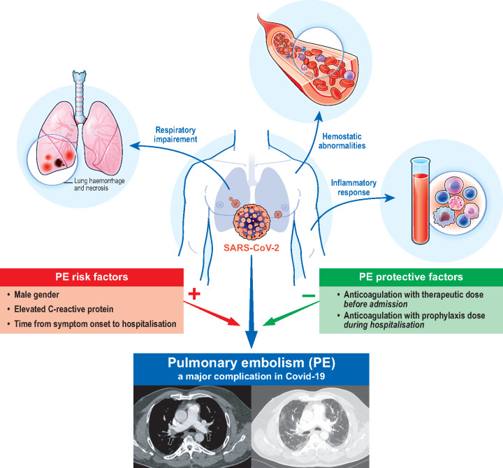 Graphical Abstract