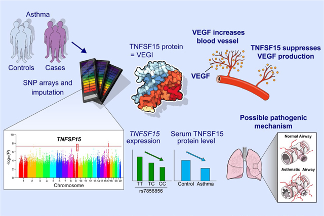 graphic file with name nihms-1707745-f0005.jpg