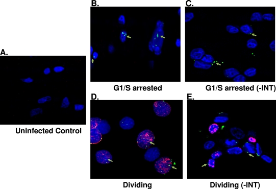 FIG. 6.