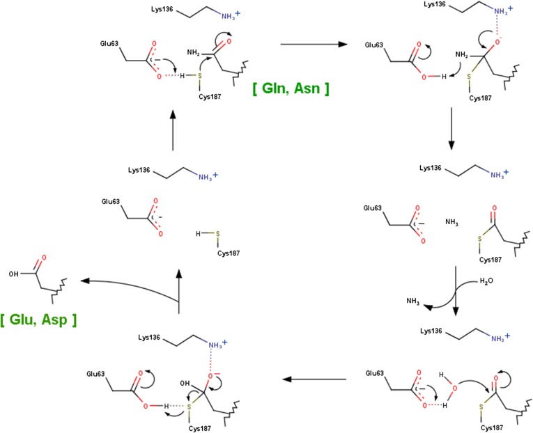 Fig. S8.