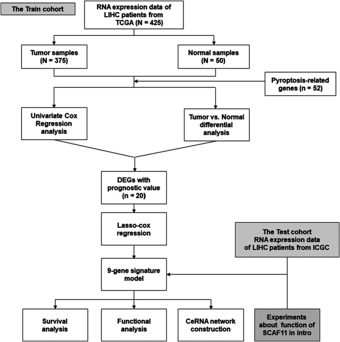 FIGURE 1