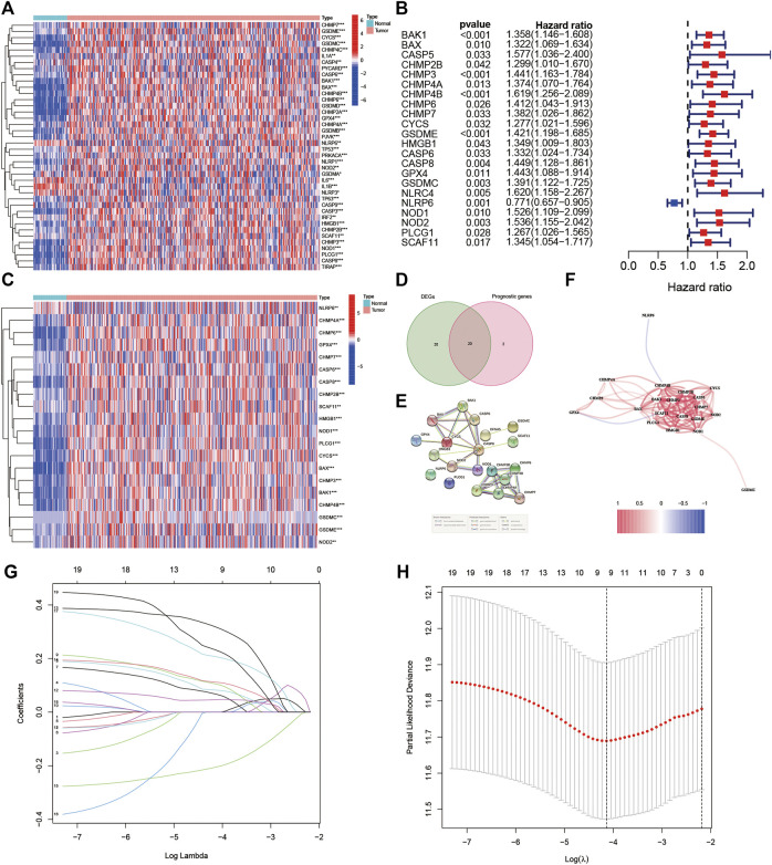 FIGURE 2