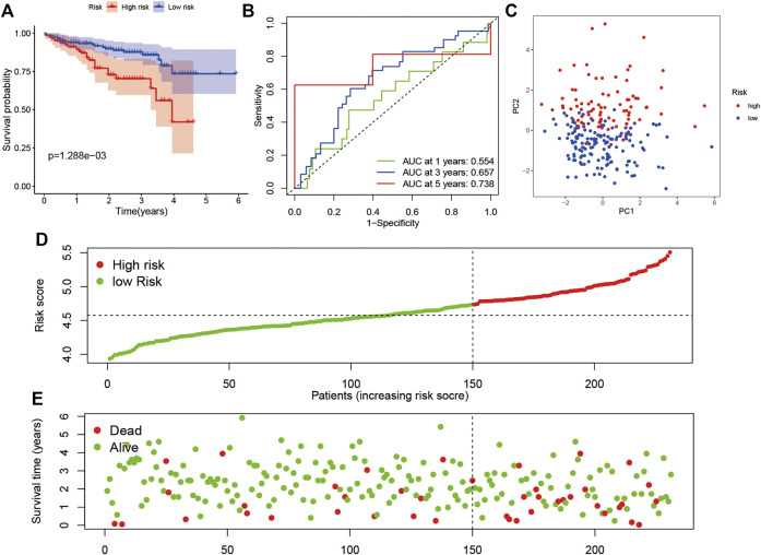 FIGURE 4