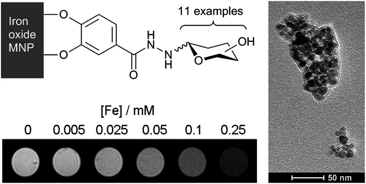 graphic file with name c9na00376b-ga.jpg