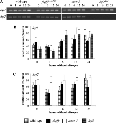 FIG. 6.