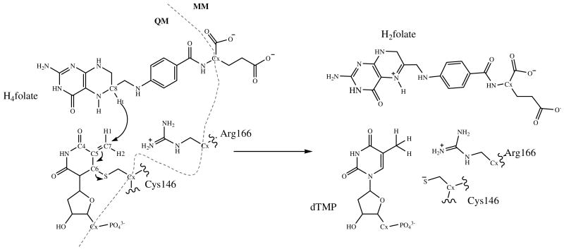 Scheme 2