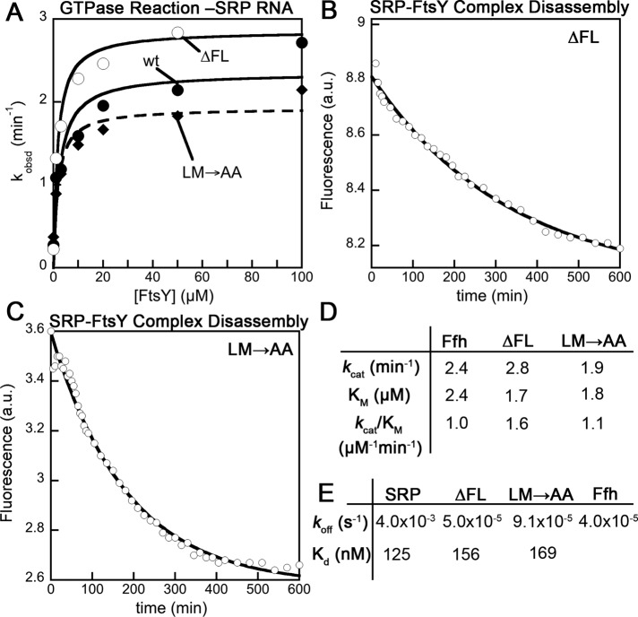 FIGURE 7: