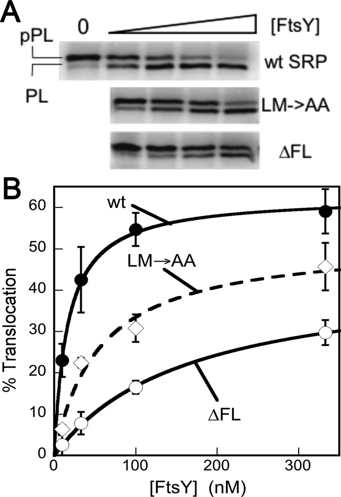 FIGURE 2: