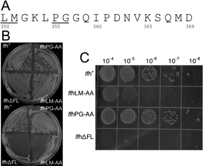 FIGURE 1: