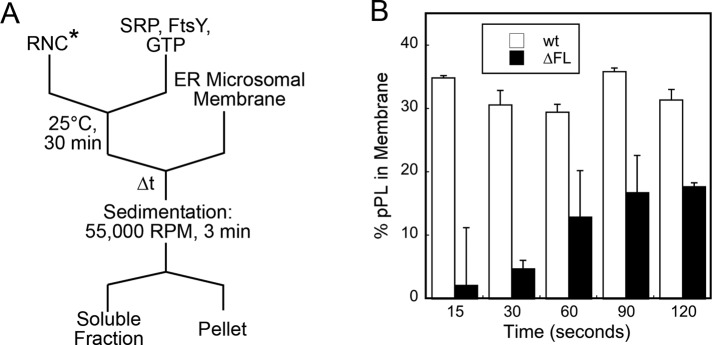 FIGURE 6: