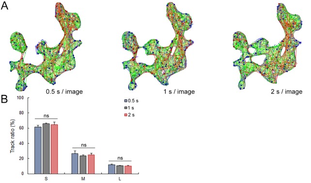 Figure 2—figure supplement 3.