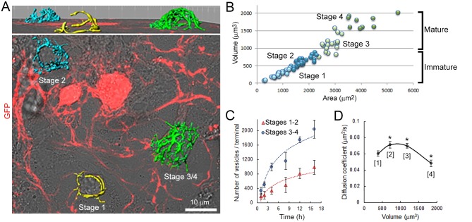 Figure 4—figure supplement 1.