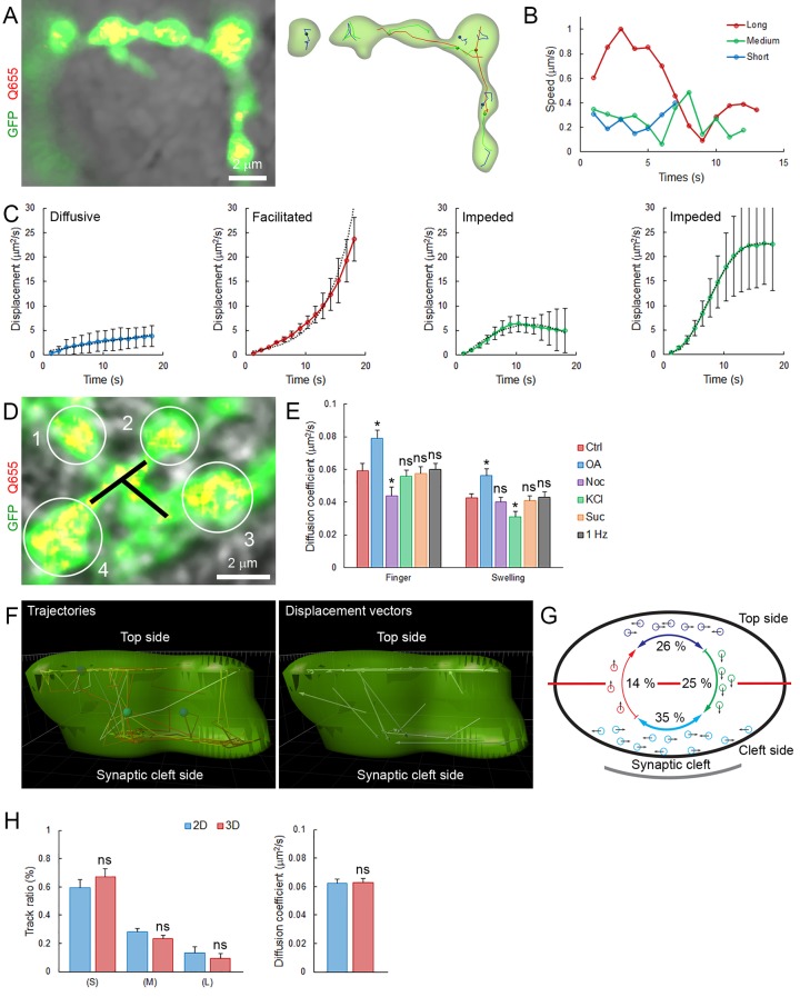 Figure 2—figure supplement 2.