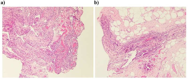 Figure 5: