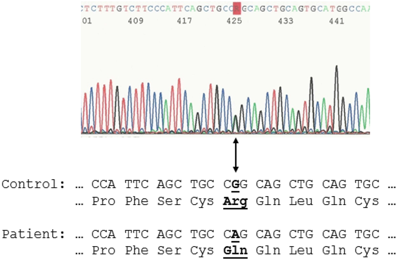 Figure 2: