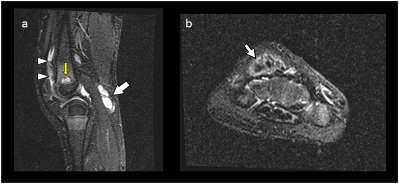 Figure 3: