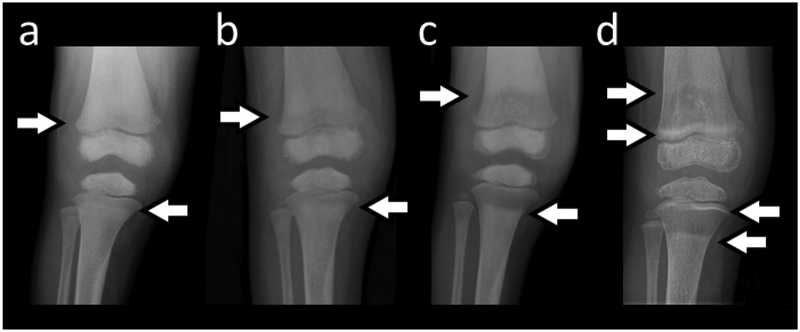 Figure 3: