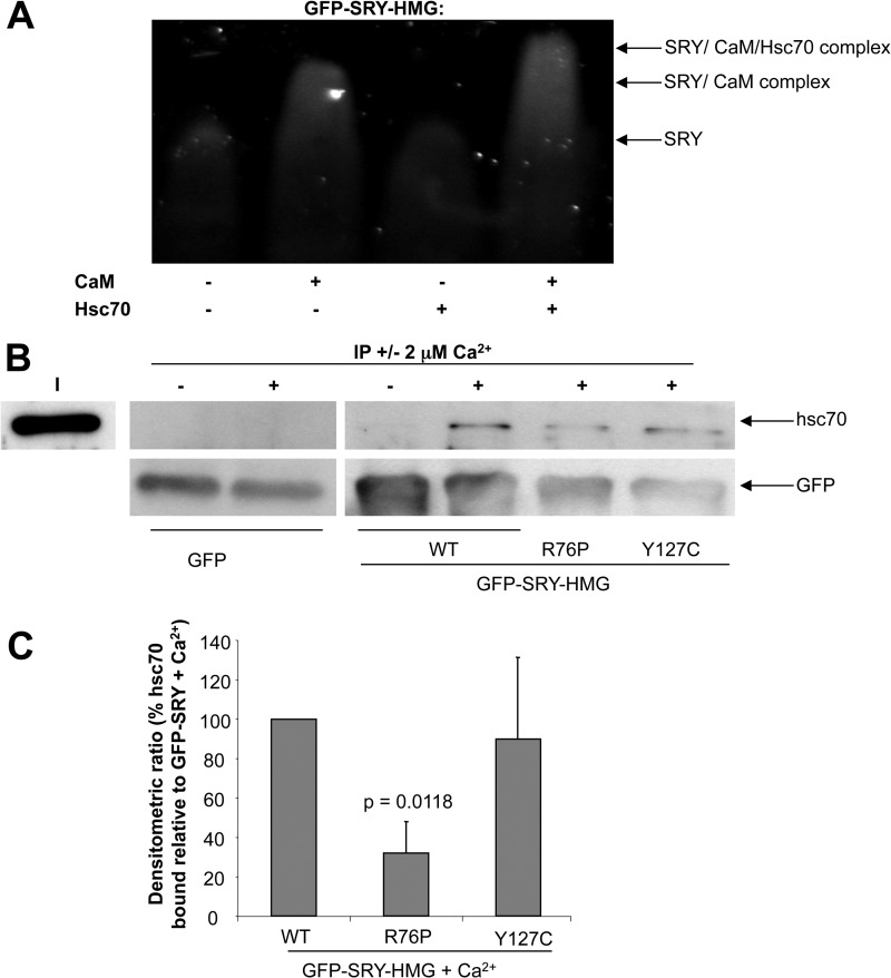 FIGURE 3.