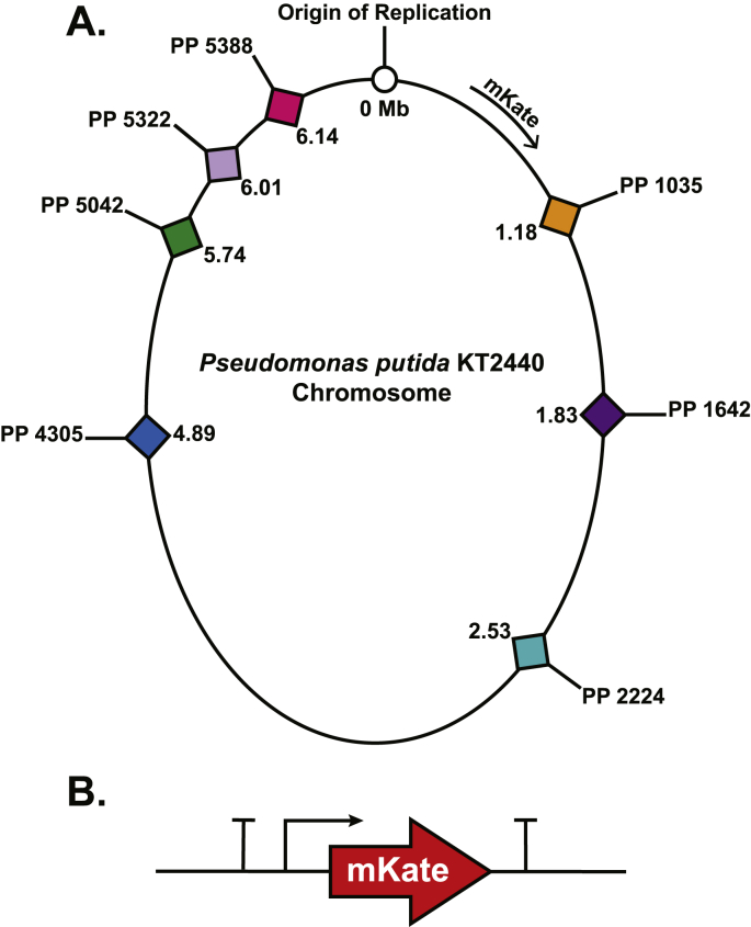 Fig. 2