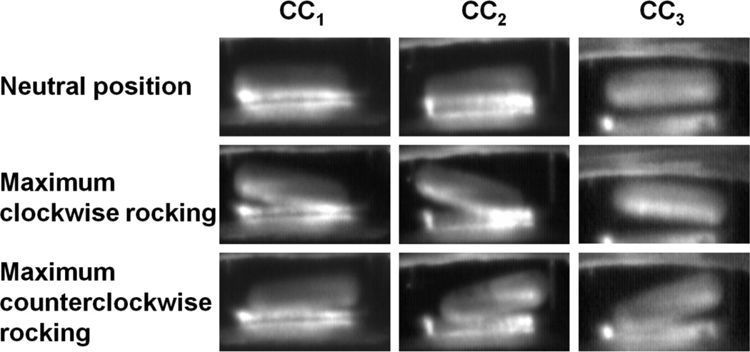 Fig. 3