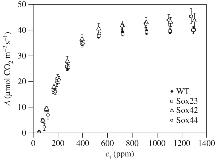 Figure 6.