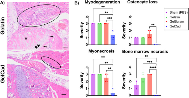 Figure 6: