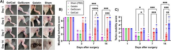 Figure 4: