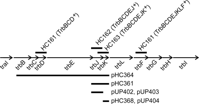 FIG. 1.