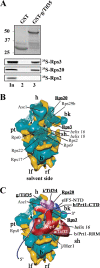 FIG. 6.