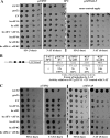 FIG. 4.