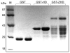 Fig 2