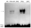 Fig 7