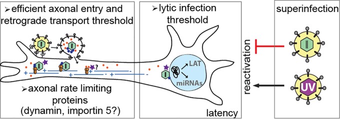 FIG 7