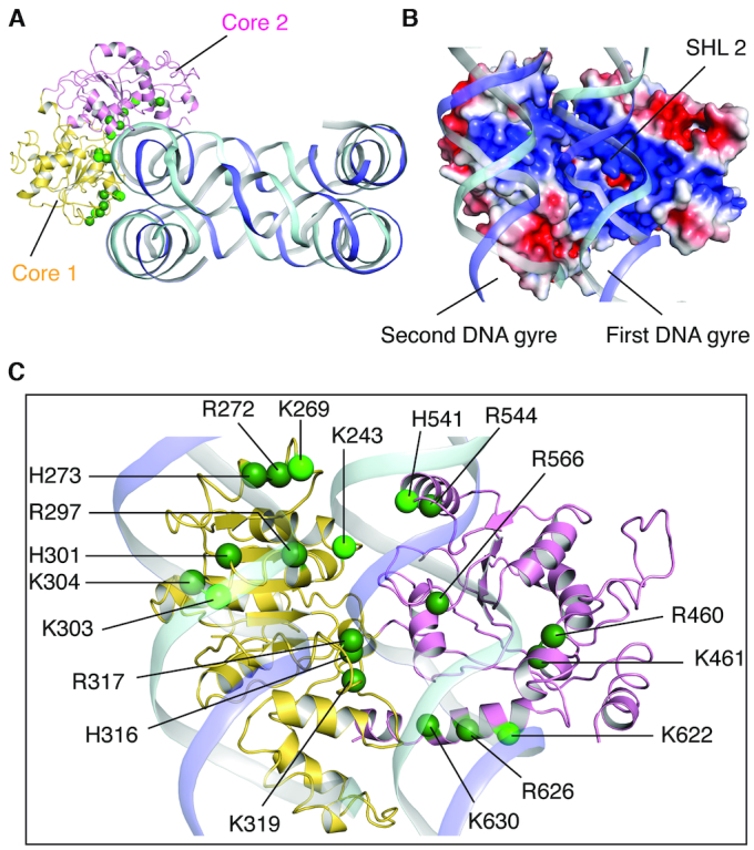 Figure 2.