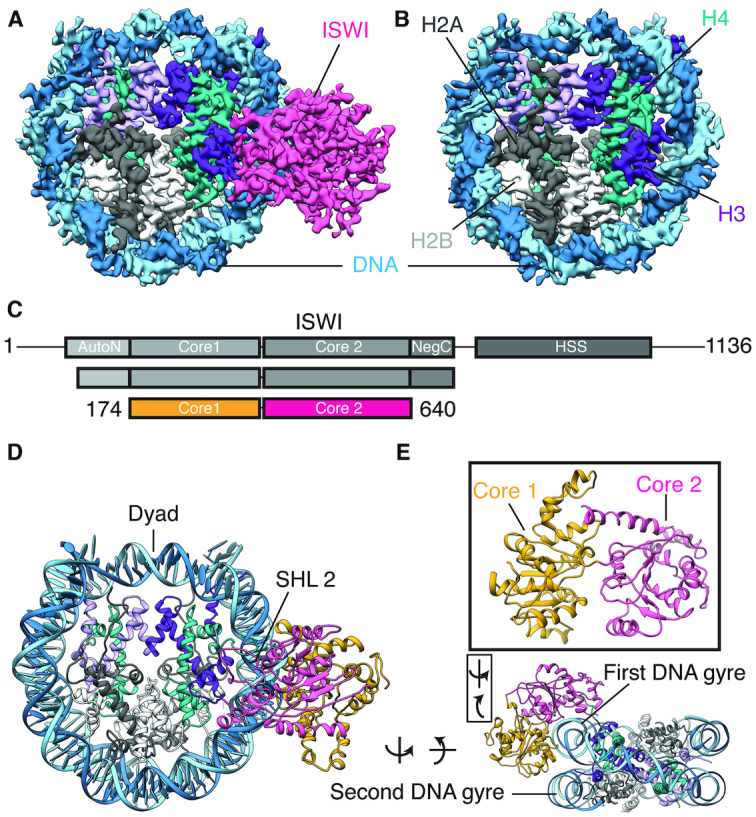 Figure 1.