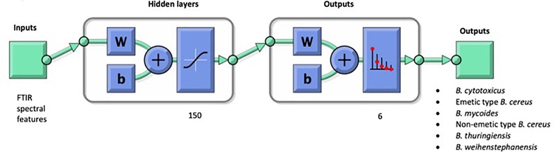 FIGURE 3