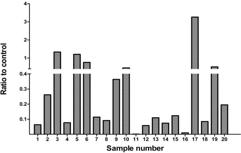 Fig. 2