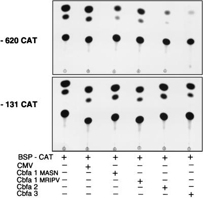 FIG. 8