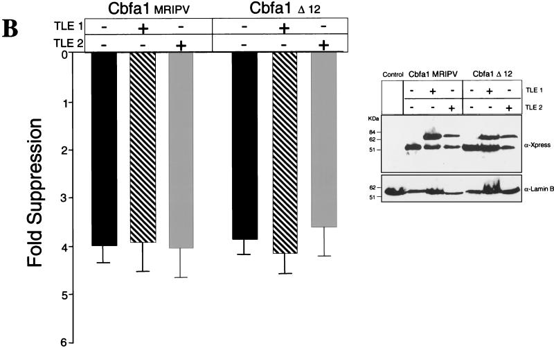 FIG. 10